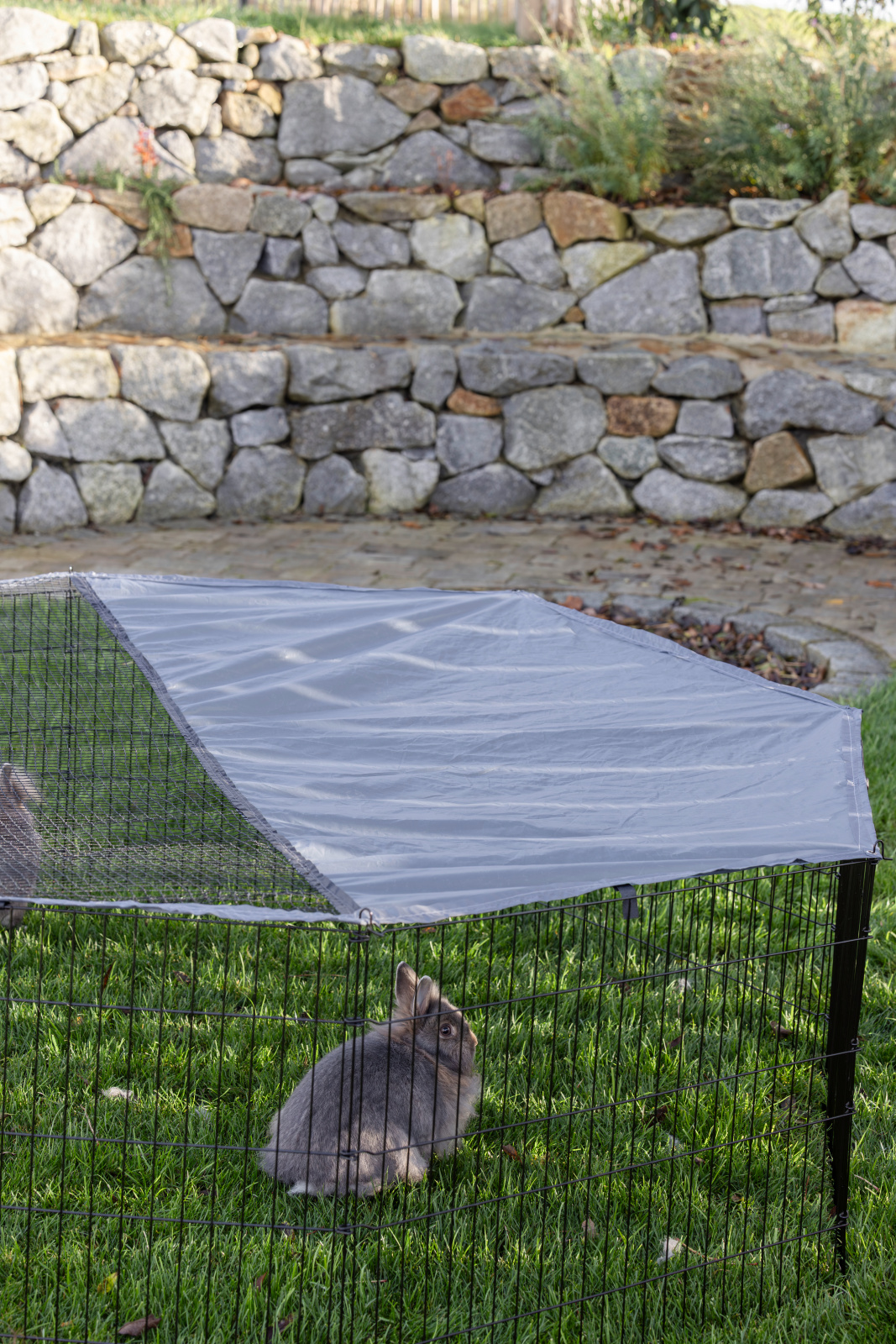 Kerbl Pet Milo Recinto Esterno Conigli 8 Elementi con Rete