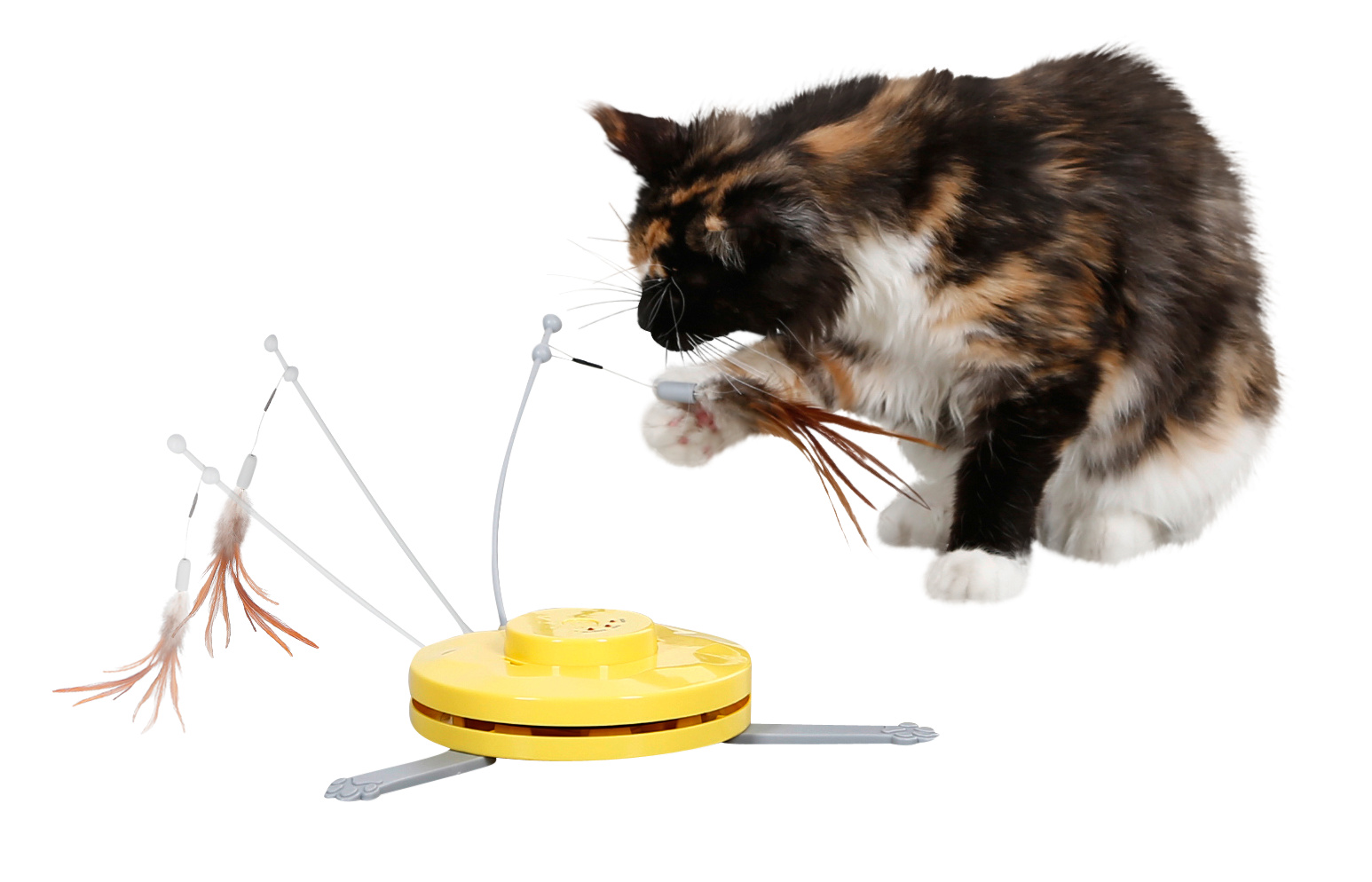 Kerbl Pet Catch the TailFeather gioco gatto interattivo piume