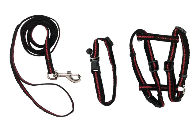 Kerbl Pet Cat Set 3 pezzi pettorina gatto catarifrangente
