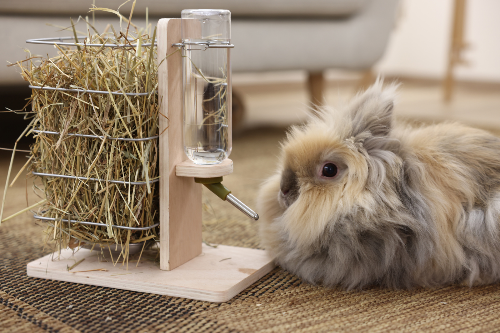 Kerbl Pet Drinking and Feeding Station mangiatoia conigli 2in1