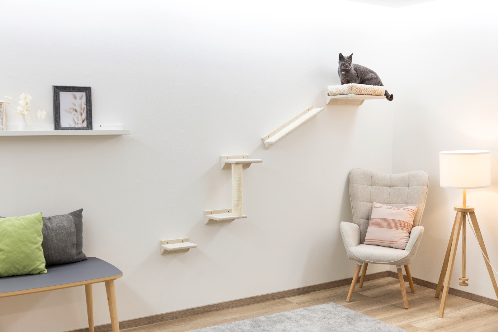 Kerbl Pet Monte Prado parete arrampicata gatto 6 pezzi