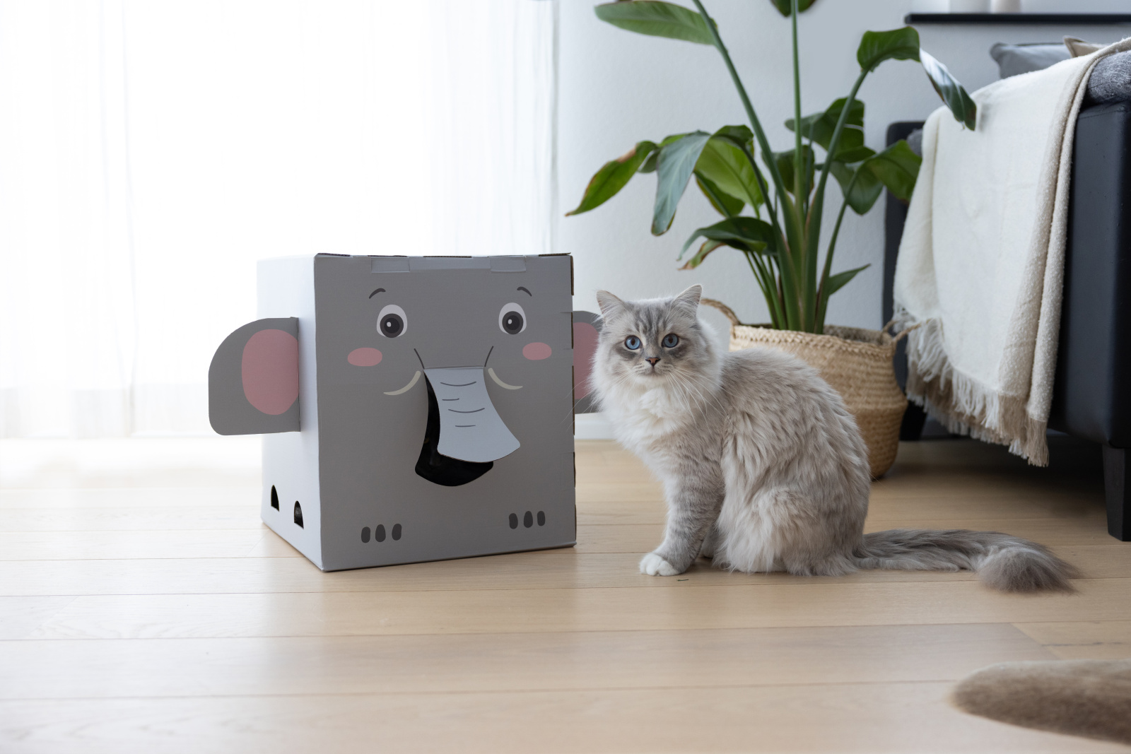 Kerbl Cat Scratch Elefant tiragraffi cartone casetta gatto leggera