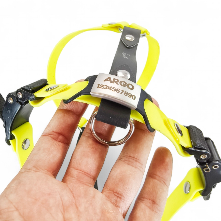 Toscani Gadget Medaglietta Cane Anti Rumore Acciaio Incisa Silenziosa