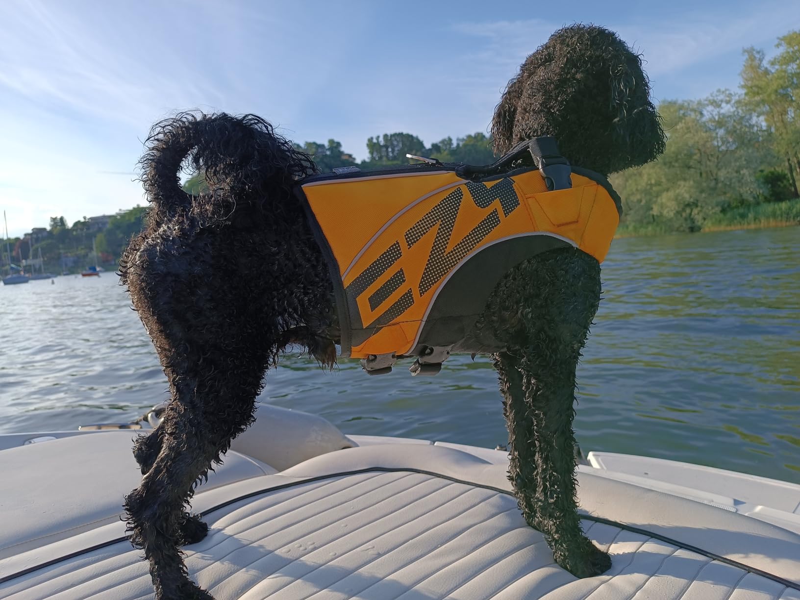 EzyDog DFD X2 Premium giubbotto salvagente cane L giallo