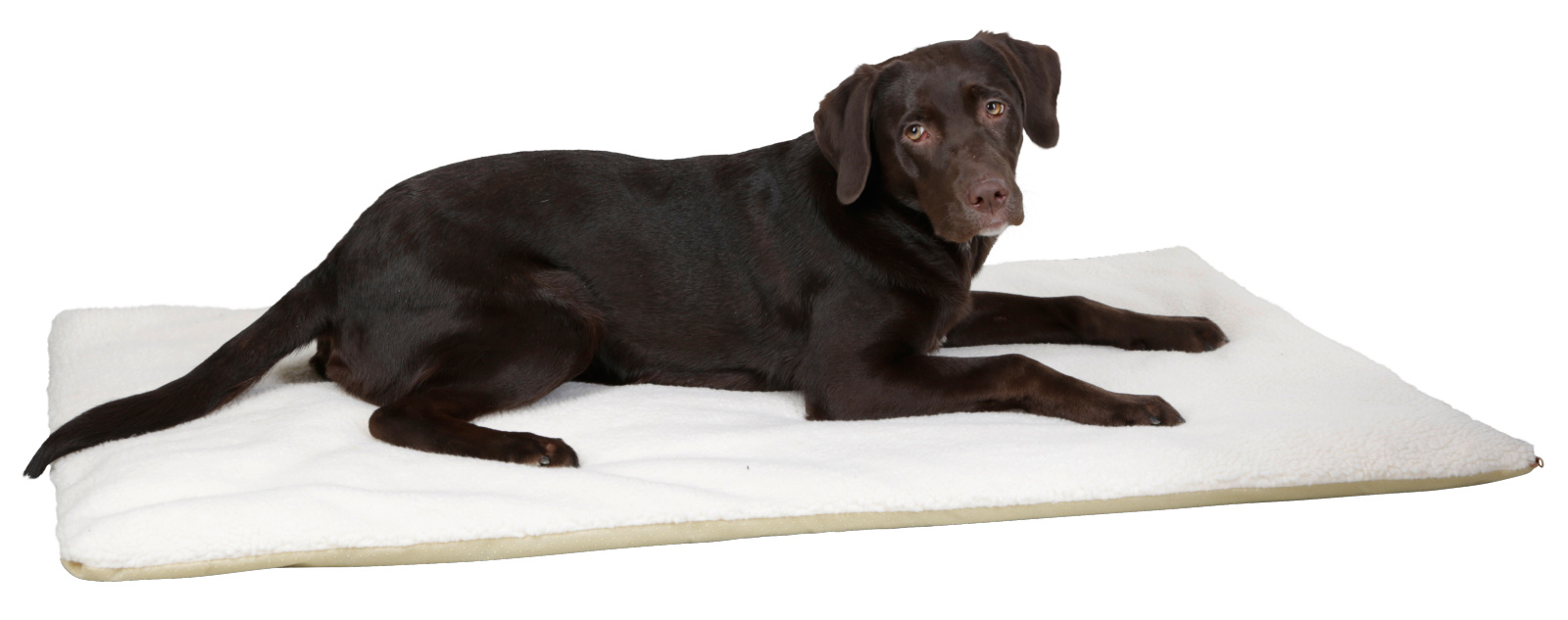 Kerbl Theo Cuscino Cane Termico autoriscaldante antiscivolo