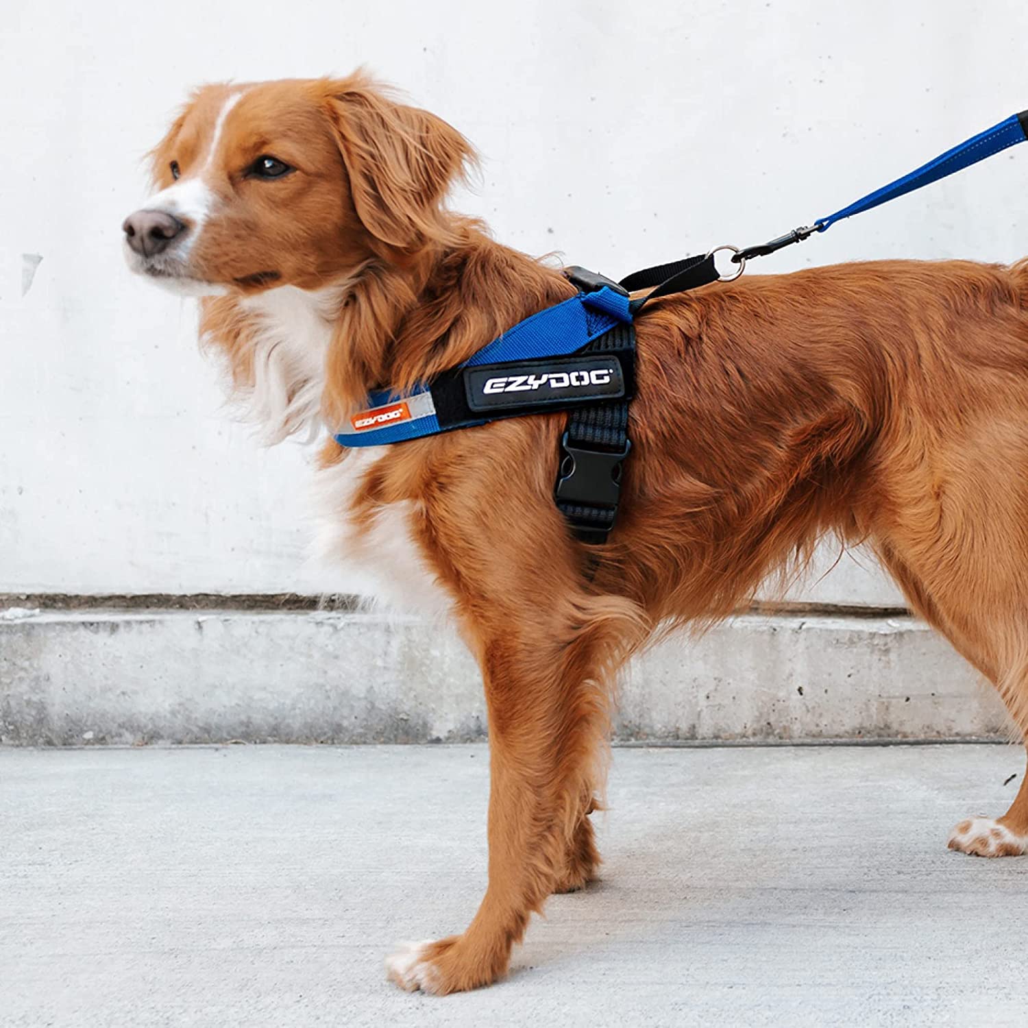 EzyDog Express pettorina per cani S rosso ergonomica