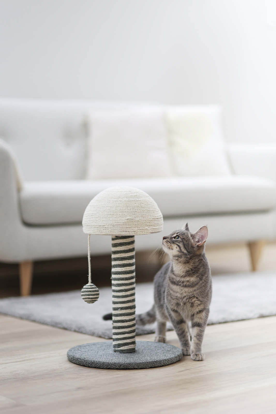Kerbl Cat Scratch Funghi Tiragraffi Gatto Colonna Sisal