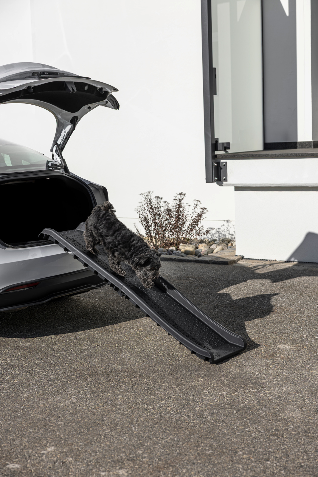 Kerbl Pet Dog Ramp rampa cani auto pieghevole 60 kg