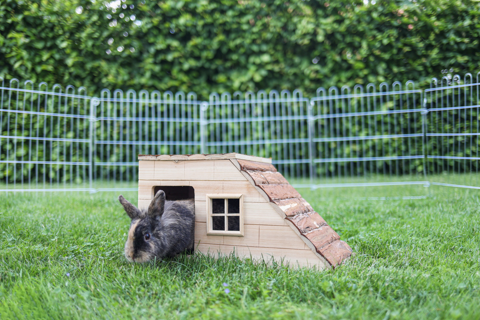 Kerbl Pet Nature Casetta Roditori in Legno con Rampa