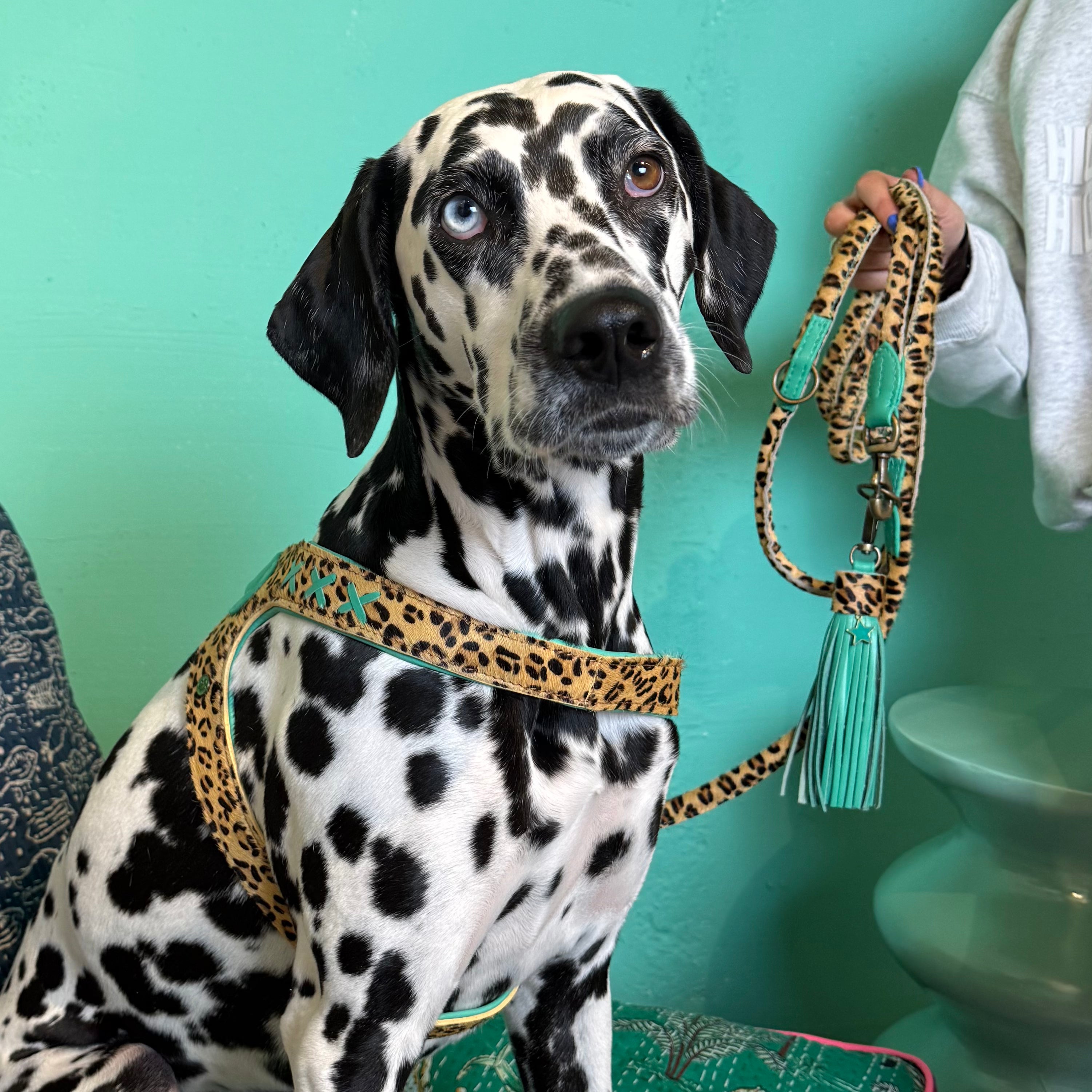 Dog with a Mission Posh 9 pettorina cane 75-77,5 cm leopardo