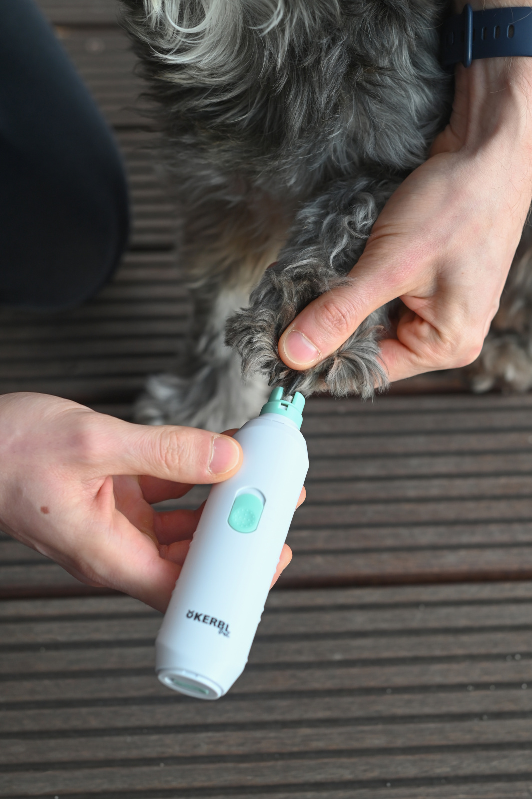 Kerbl Pet Nail File lima elettrica unghie cani e gatti USB