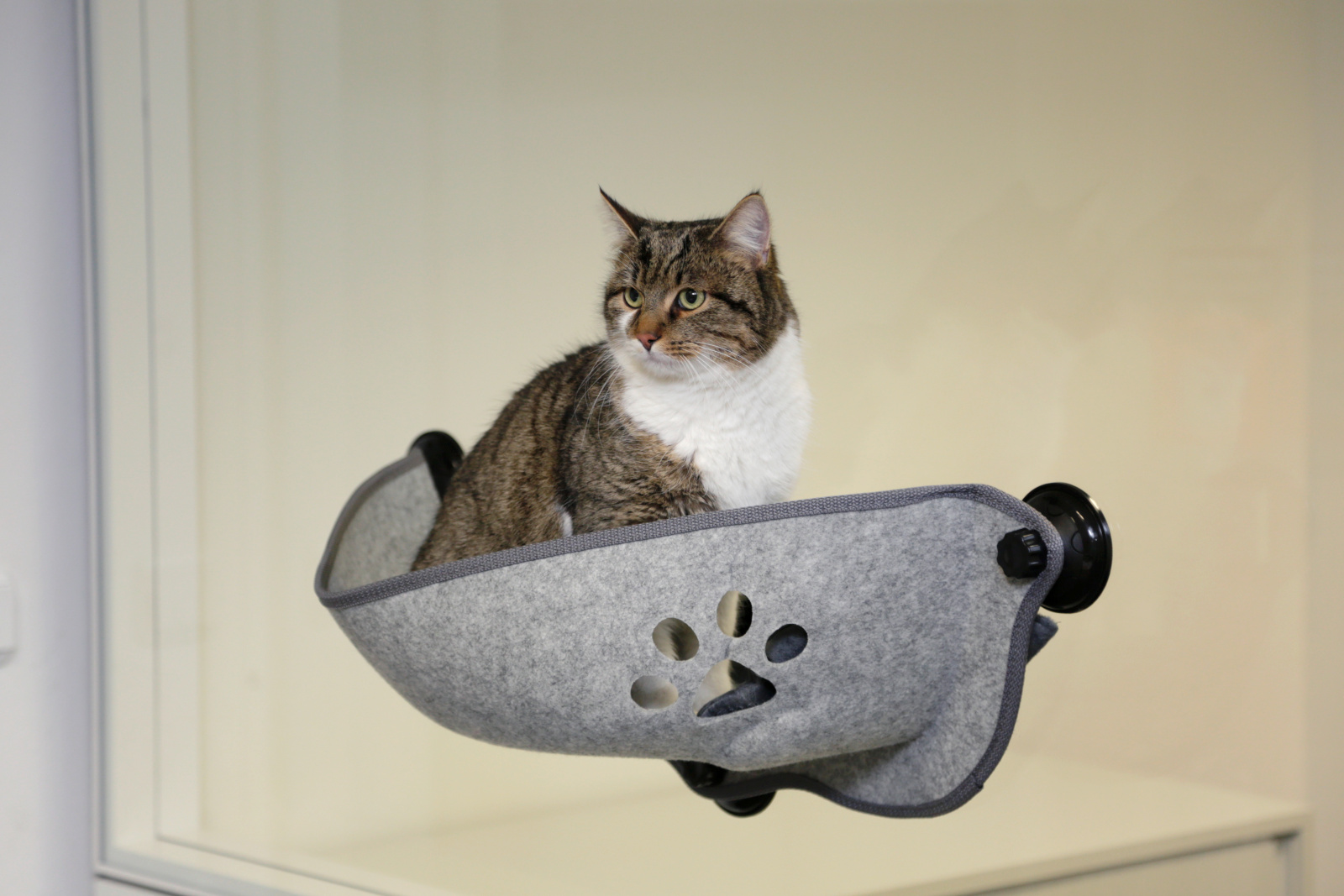Kerbl Pet Filzino Lettino Gatto Finestra a Ventose Feltro