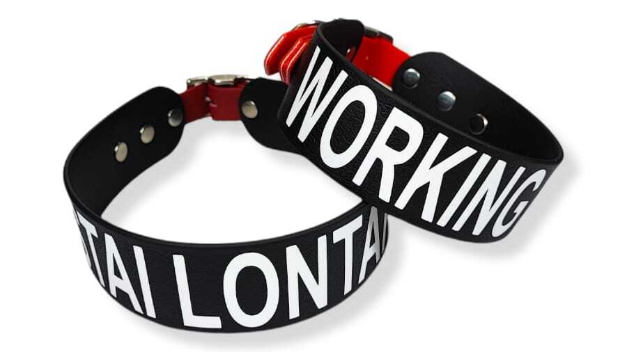 Toscani Waterproof Collare Cane Personalizzato con Nome