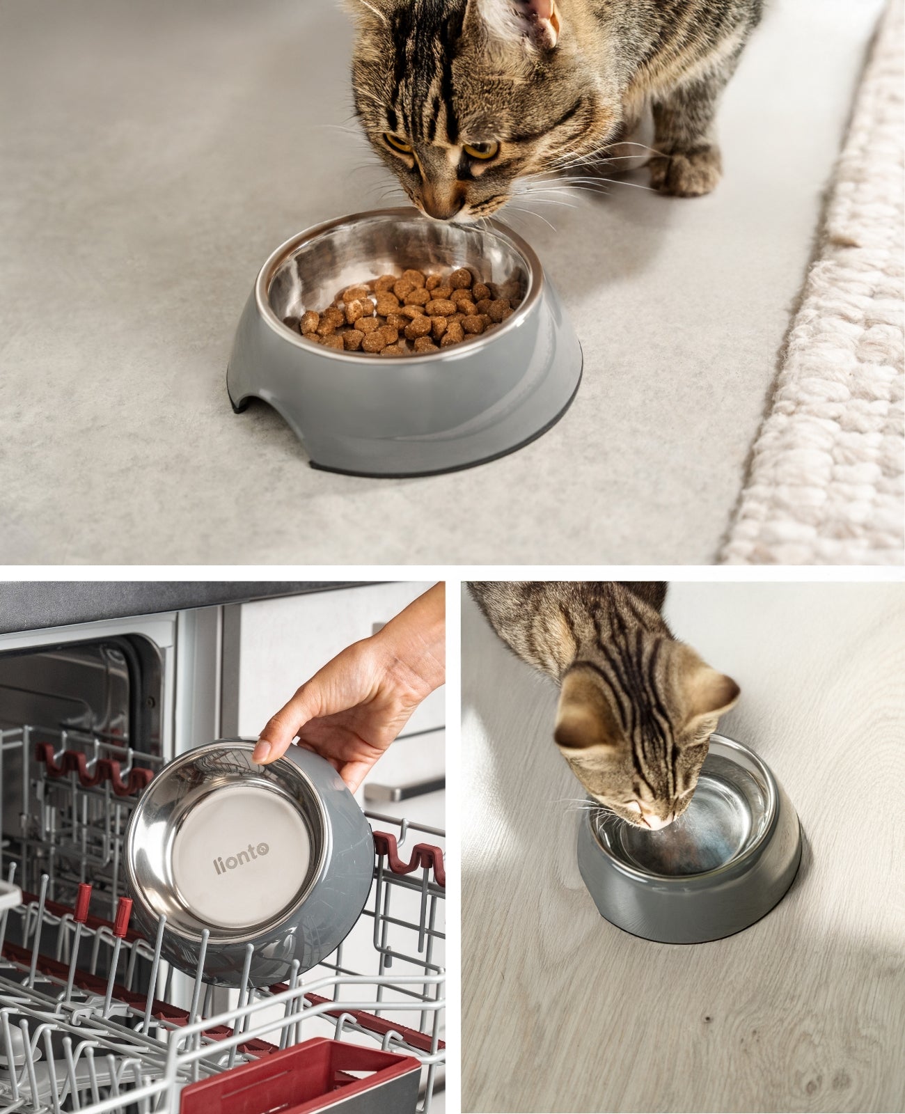 Lionto Katzenäpfe ciotola gatti nera 420 ml acciaio antiscivolo