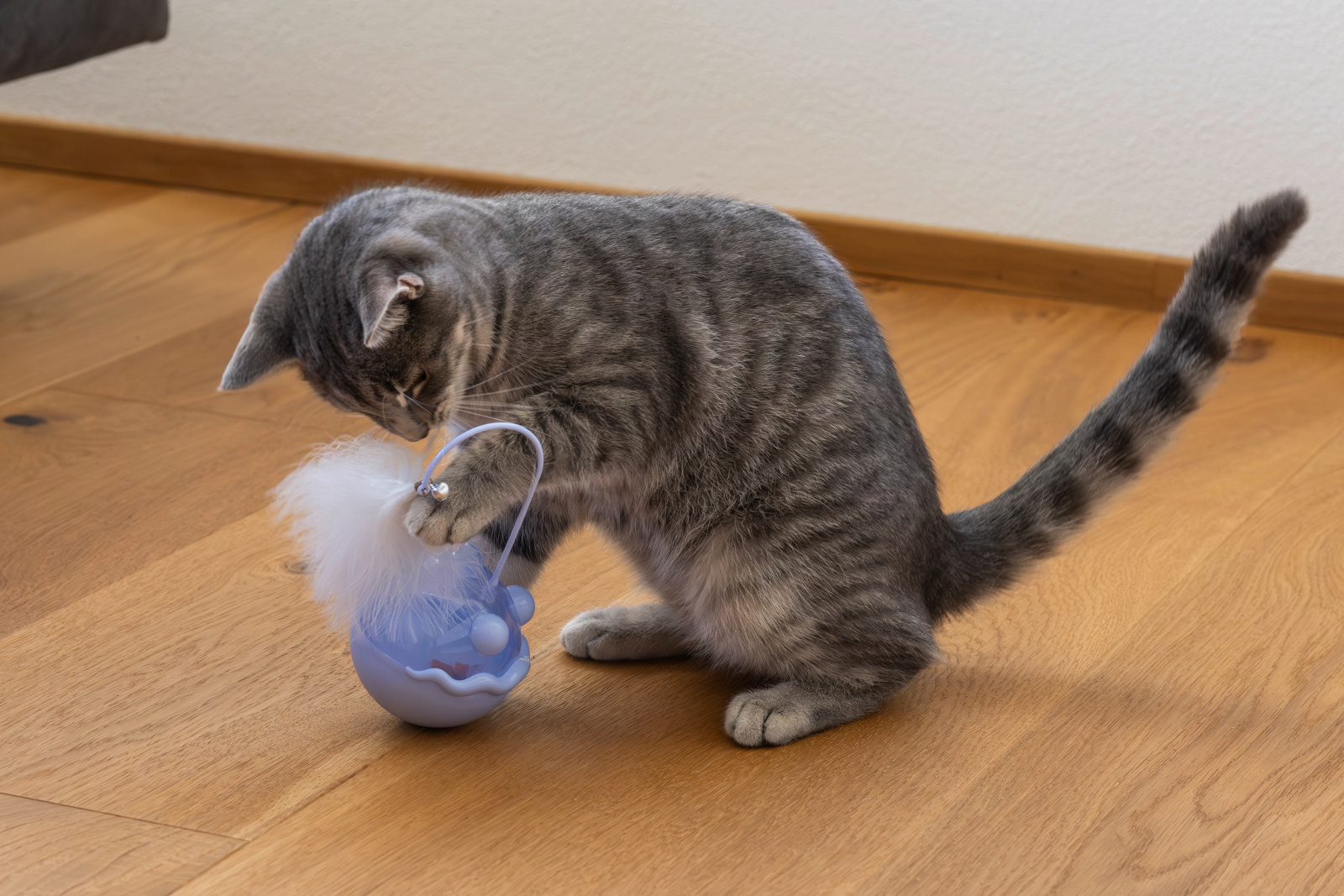 Kerbl Pet Snack Ball Fish palla snack per gatti pesce con sonaglio