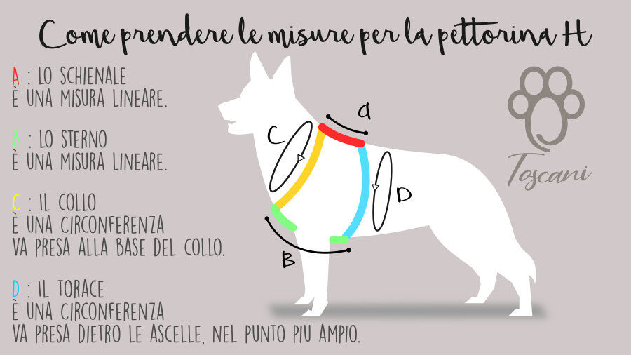 Toscani Cuoio pettorina H cane vero cuoio regolabile