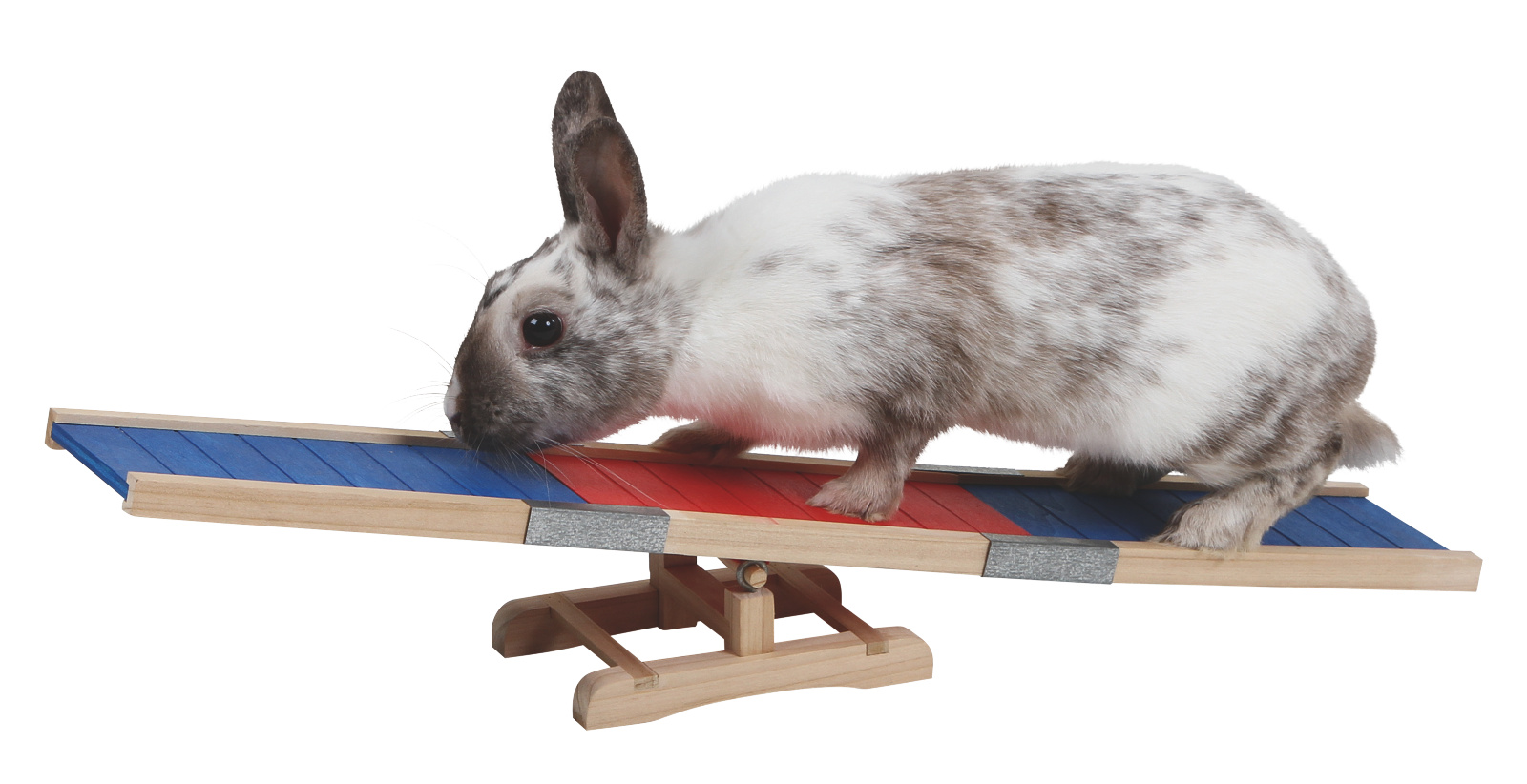 Kerbl Rodent Agility Rocker Agility bilanciere gioco roditori