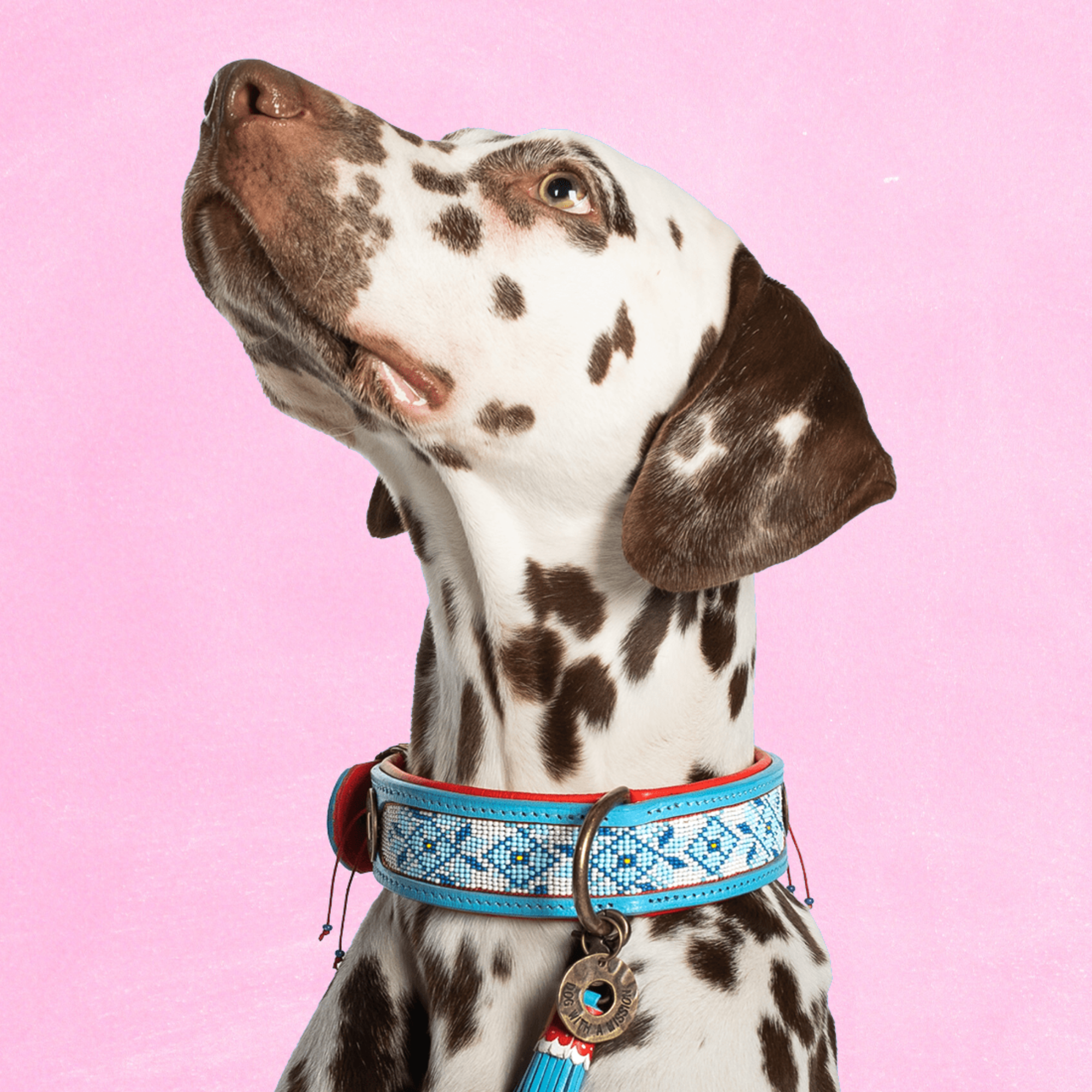 Dog with a Mission Dutchie collare cane perline azzurro XL 48-57 cm