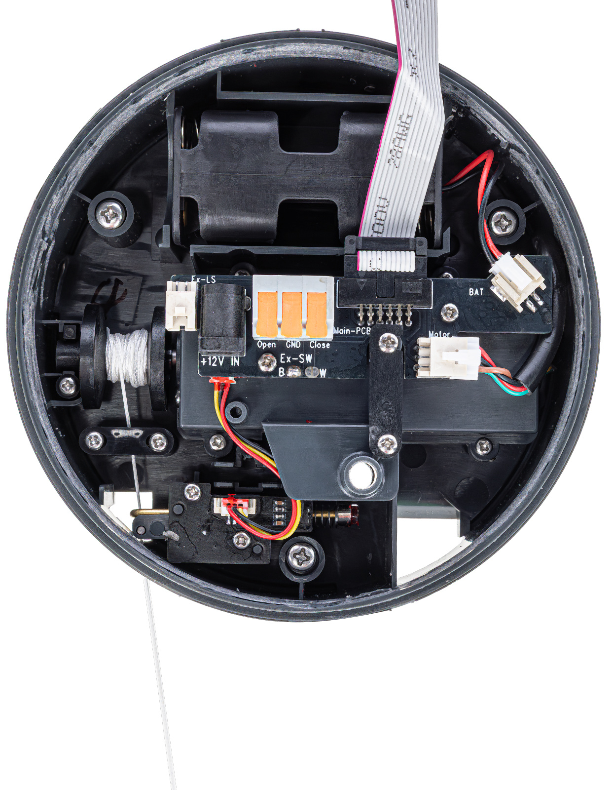 Kerbl Pet Duo Pro porta pollaio automatica con sensore luce