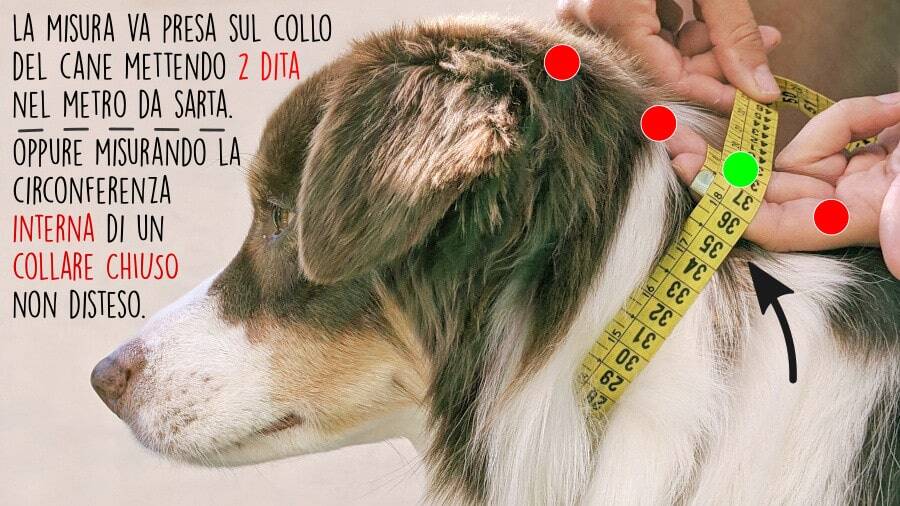 Toscani Antiparassitari Collare Porta Antiparassitario 20mm