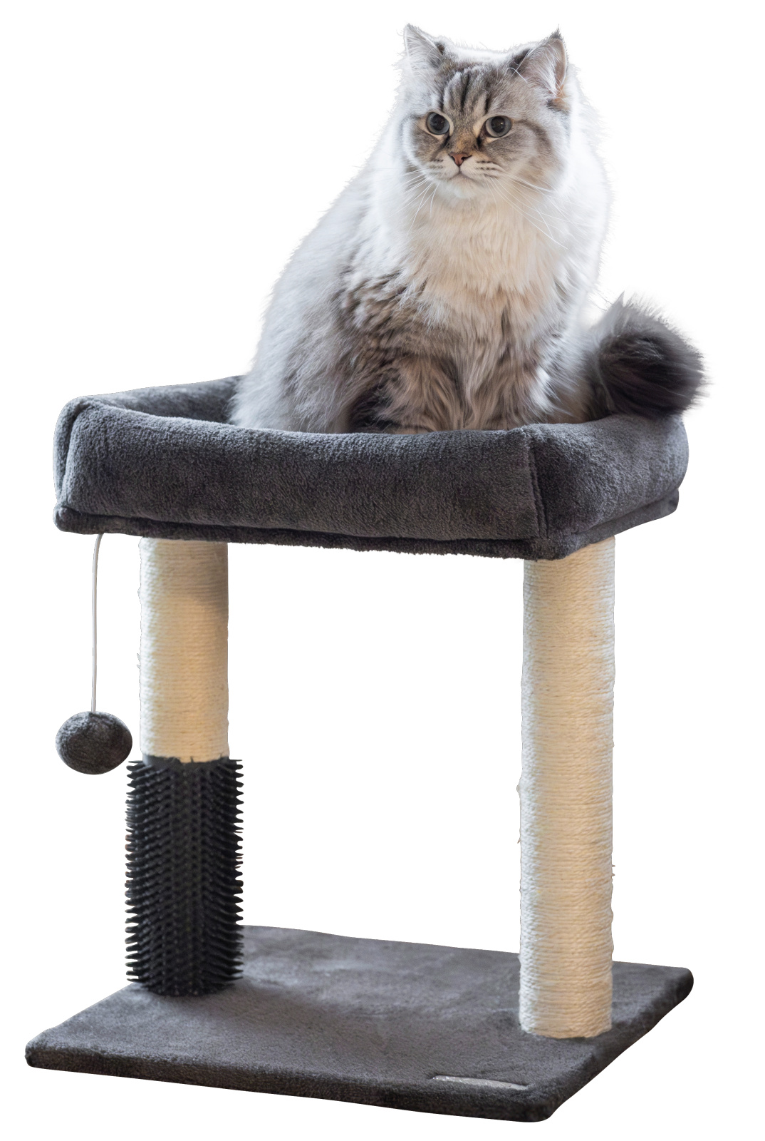 Kerbl Pet Rosi albero tiragraffi gatto con cuccia e pallina
