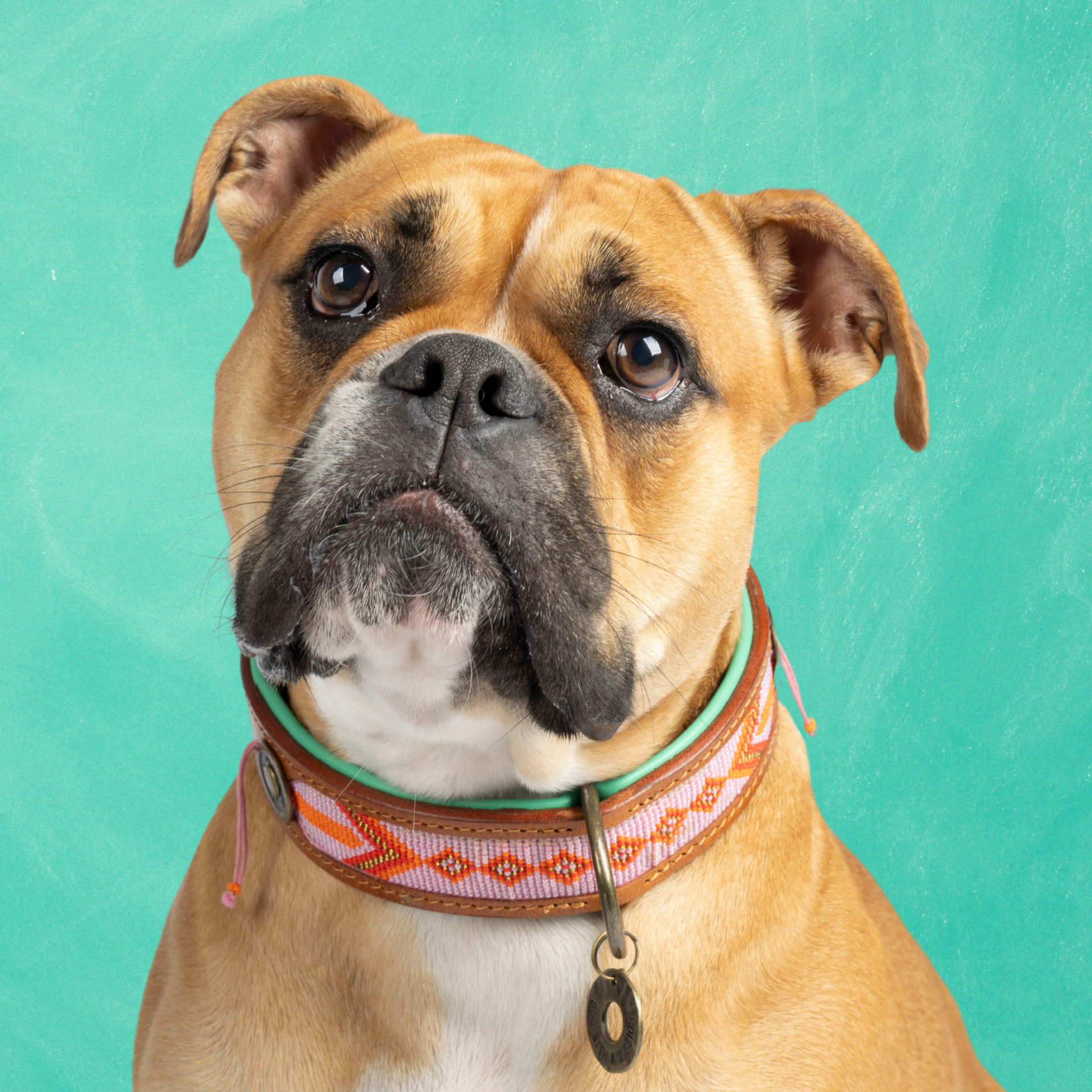Dog with a Mission Sweet Mae collare cane L 40-47 cm perline