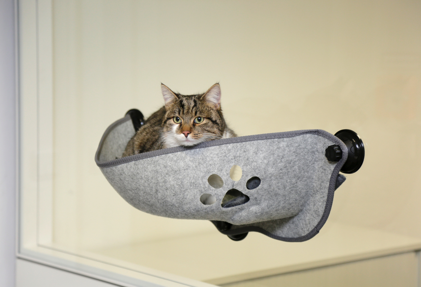 Kerbl Pet Filzino Lettino Gatto Finestra a Ventose Feltro