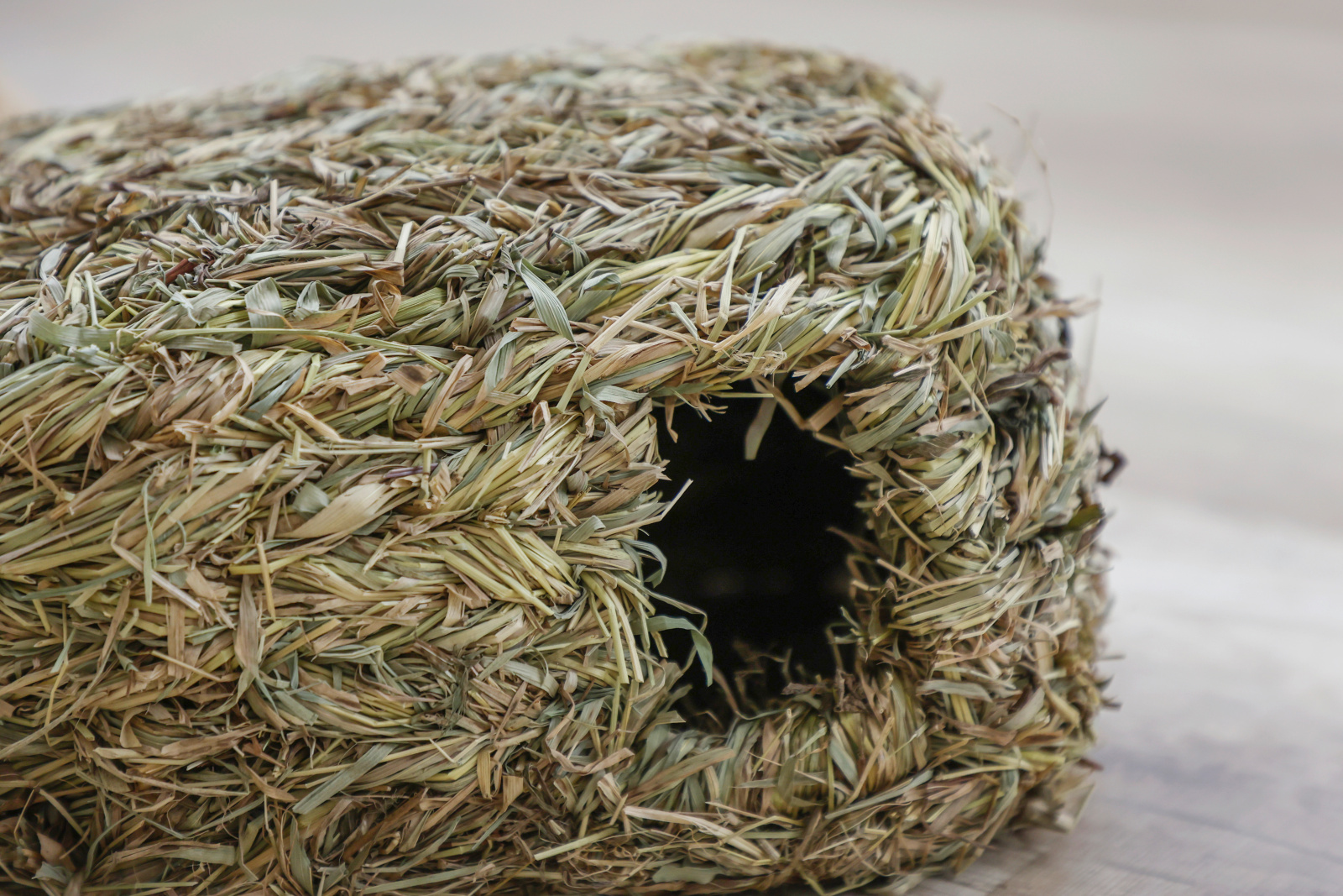 Kerbl Pet Grass House casetta fieno roditori 2 ingressi