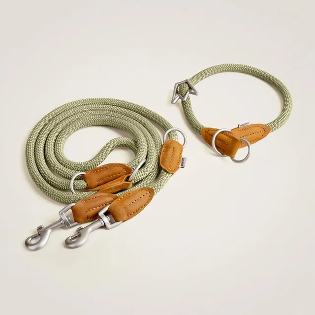 Rudelkönig Bundles Gassi-Set Emma set cane nero corda