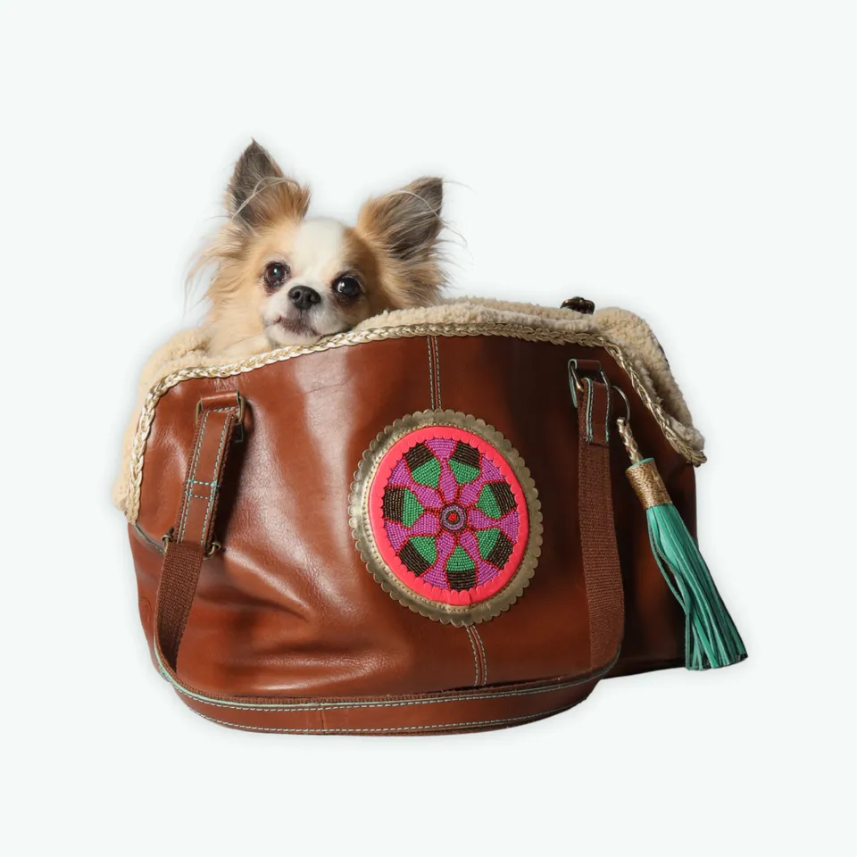 Dog with a Mission Bonita Borsa Cane Pelle 8 Kg Teddy