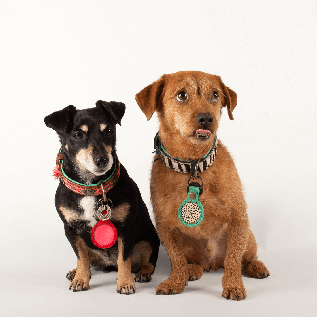 Dog with a Mission AirTag Custodia per Cane Gialla