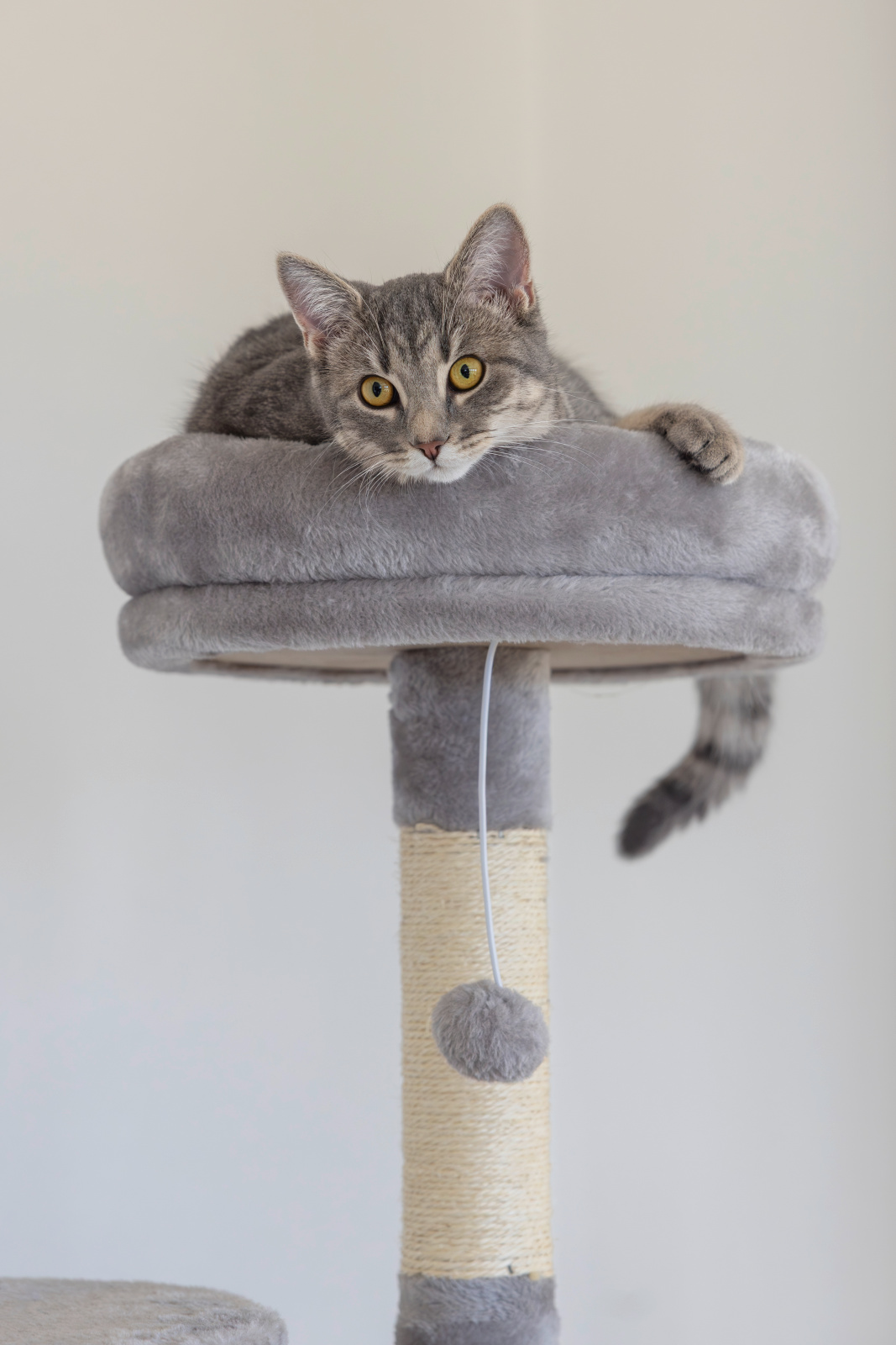 Kerbl Pet Levi tiragraffi gatto due cucce grotta sisal