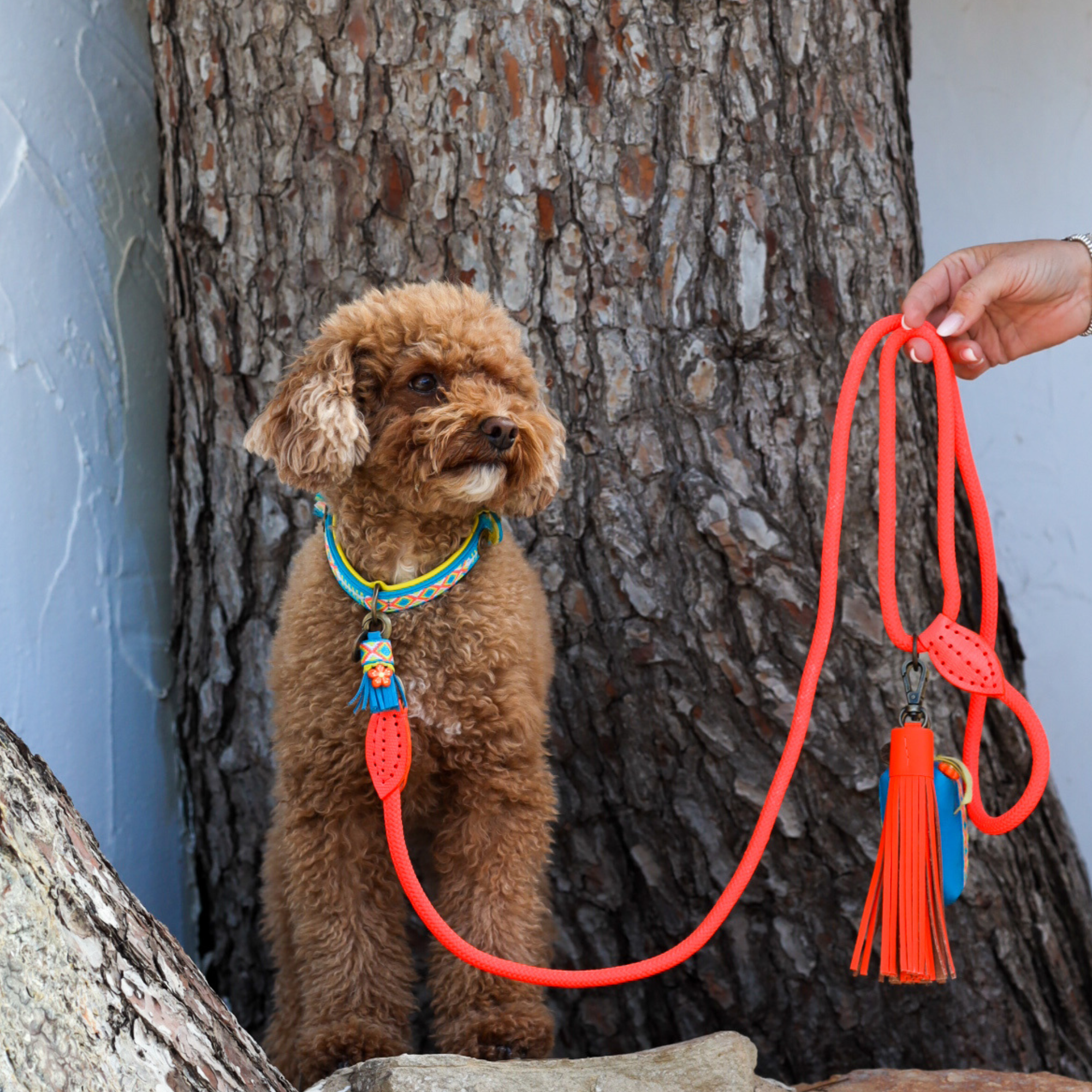Dog with a Mission Classic Sunset guinzaglio cane arancio S 155 cm