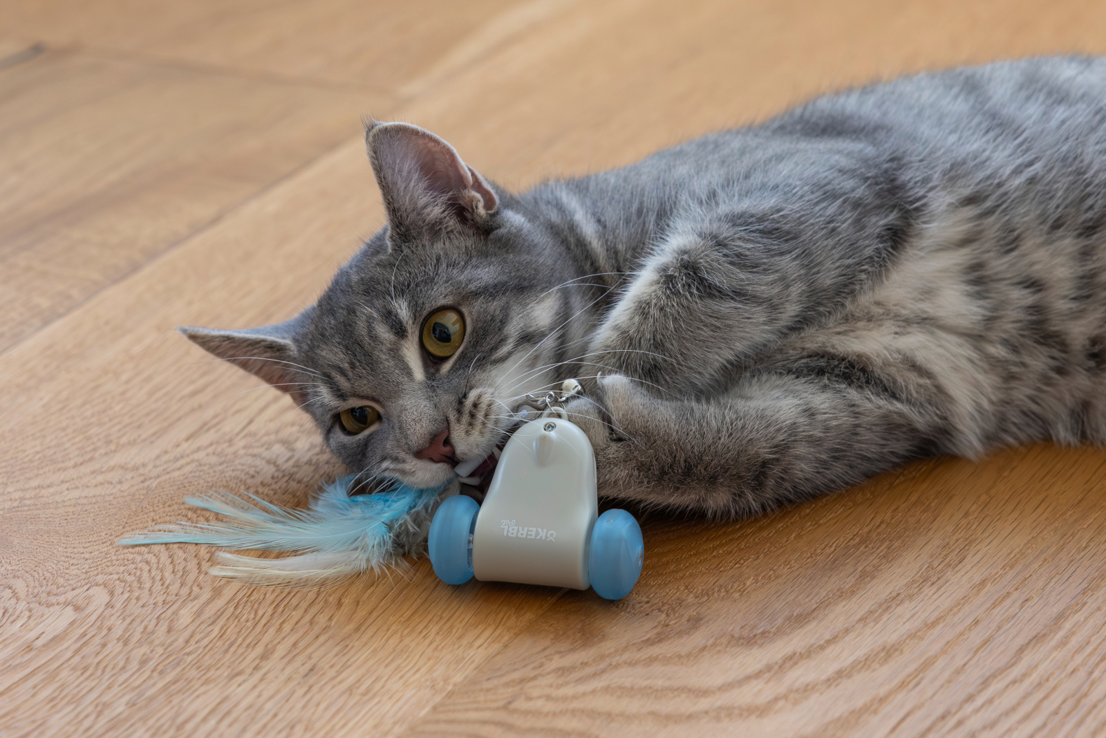 Kerbl Pet Racing Mouse topo elettronico gatto LED USB
