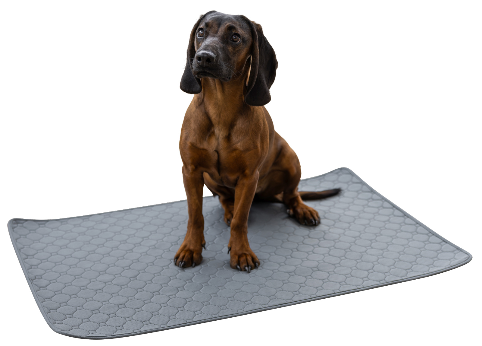 Kerbl Pet tappetino cane assorbente lavabile antiscivolo riutilizzabile