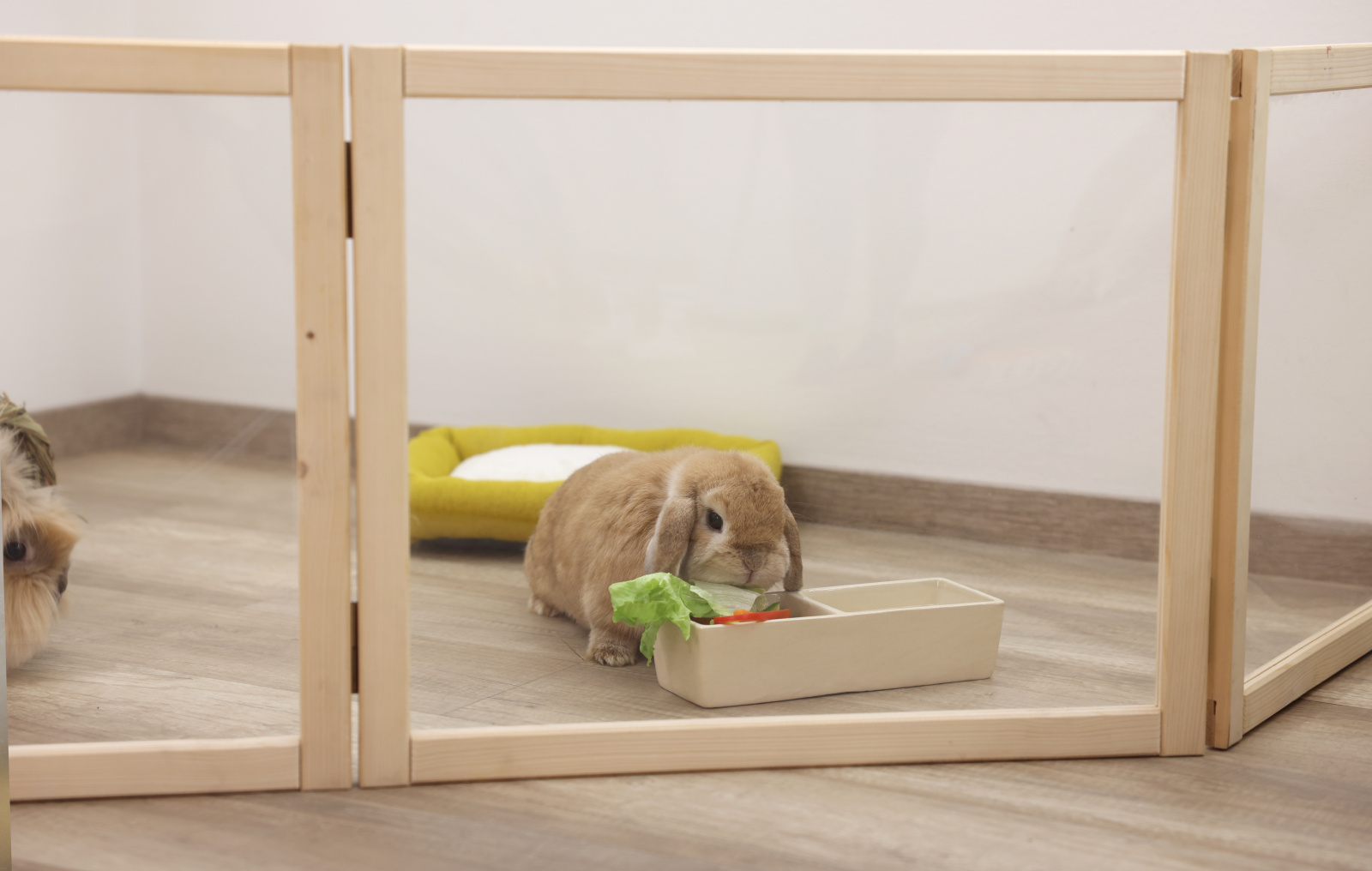 Kerbl Pet Room Divider recinto interno plexiglass roditori
