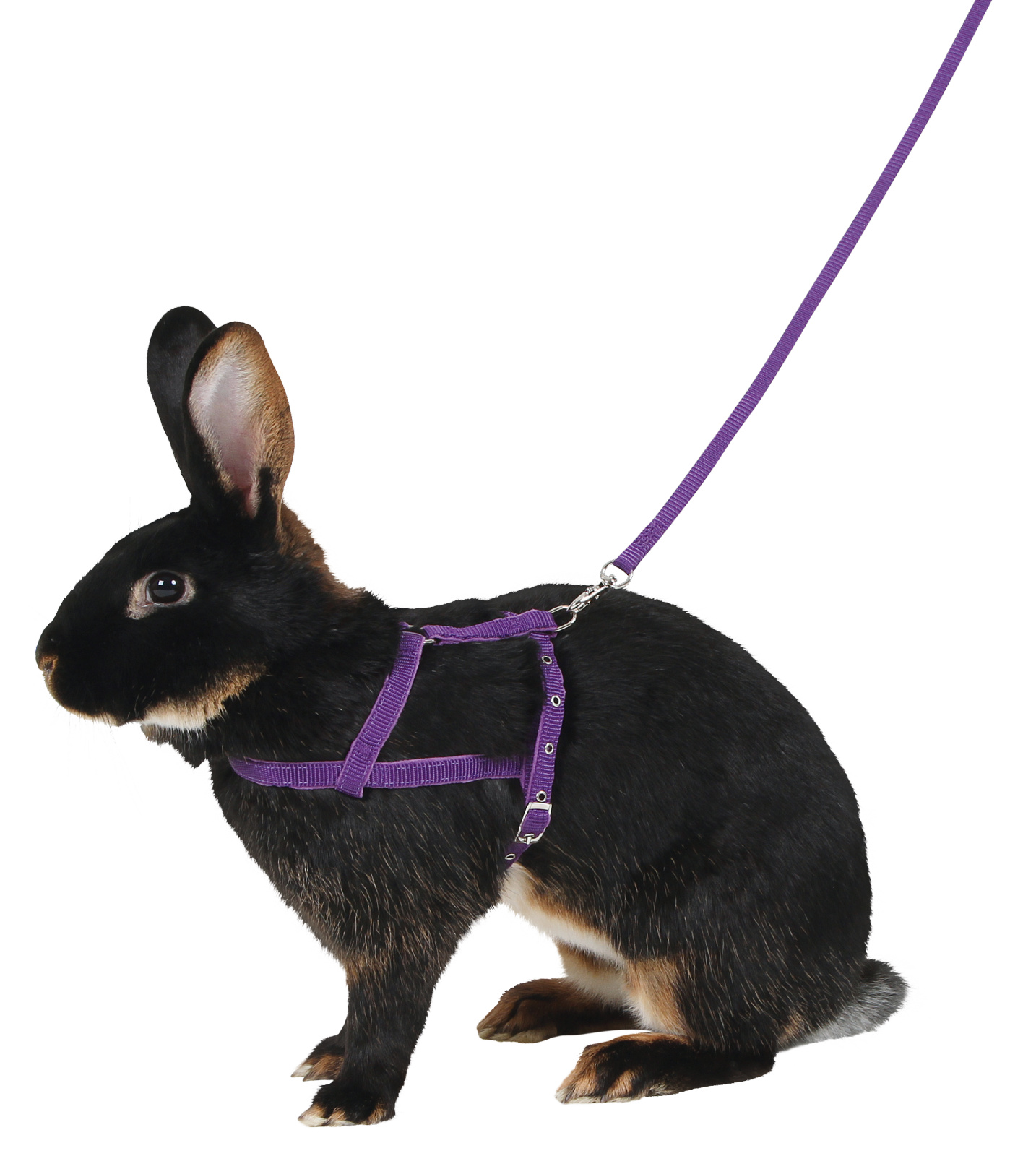 Kerbl Pet Shoulder Harness pettorina roditori con guinzaglio