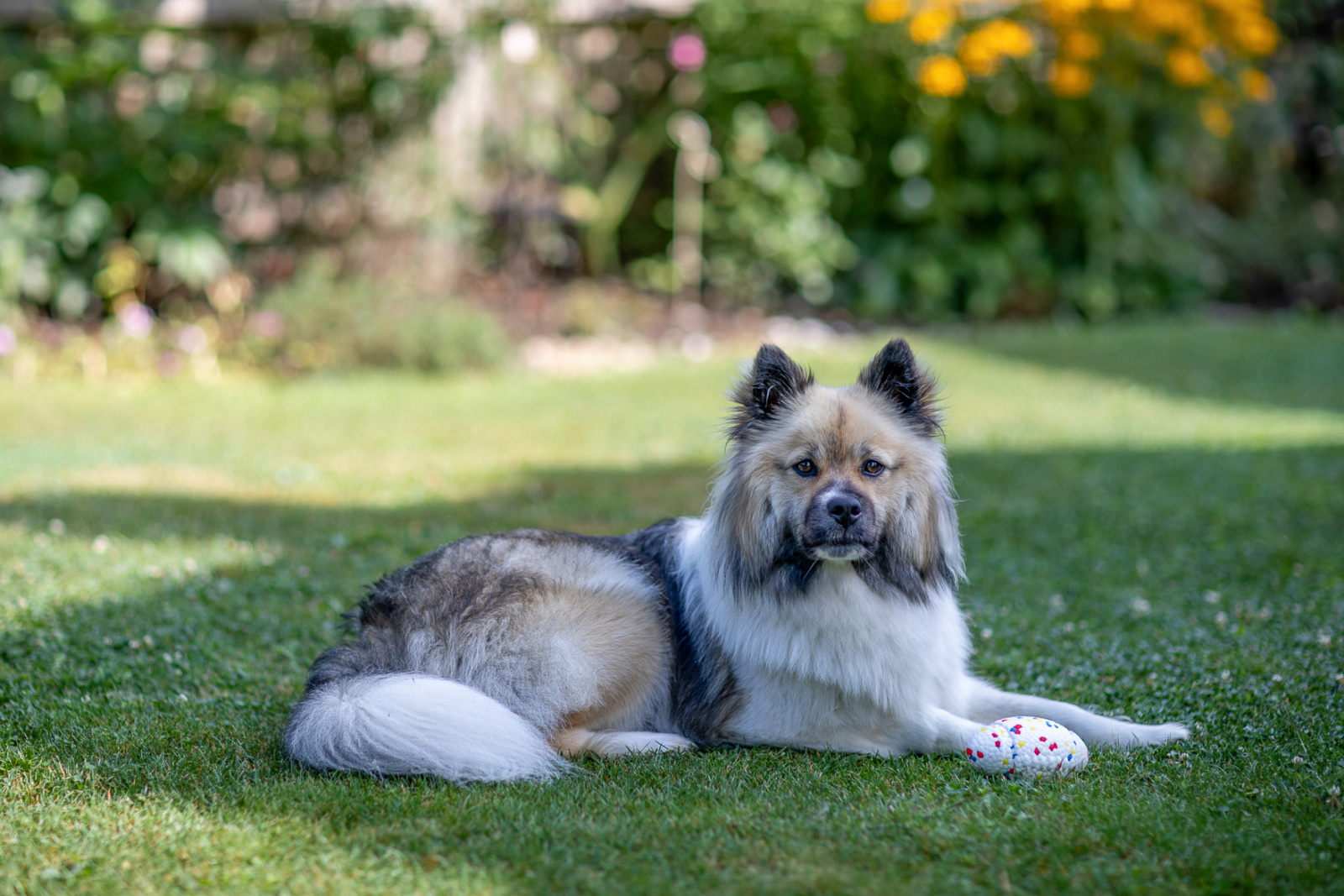 Kerbl E-TPU palla gioco cane rimbalzante galleggiante