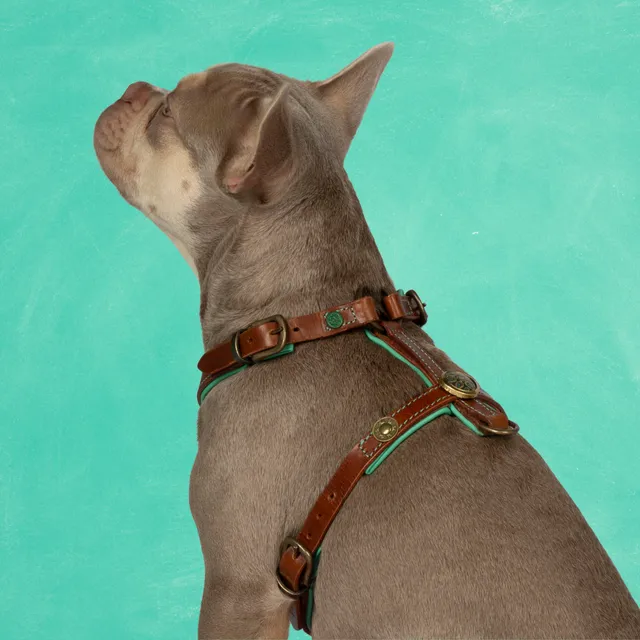 Dog with a Mission Rock pettorina cane M marrone 54-68 cm