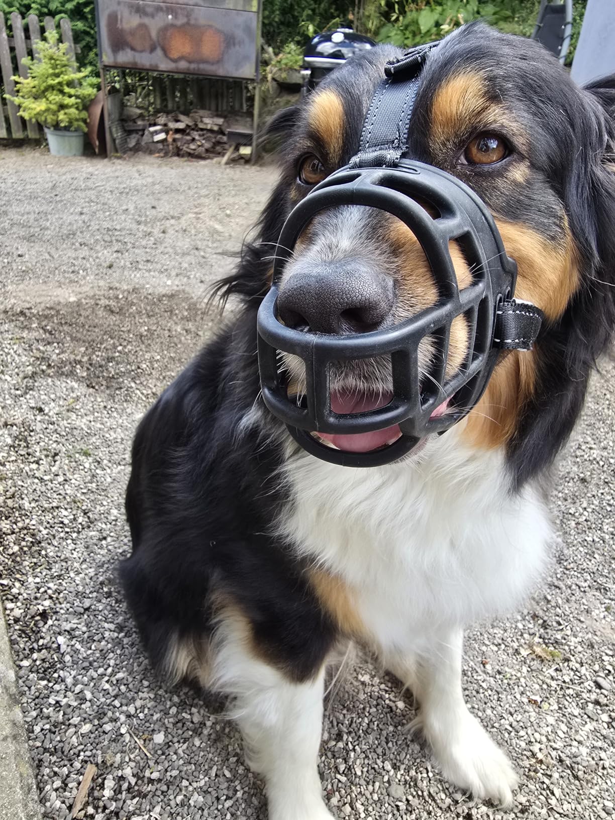 OHCOZZY Museruole Cani Museruola Cesto Taglia 3 Nero Silicone