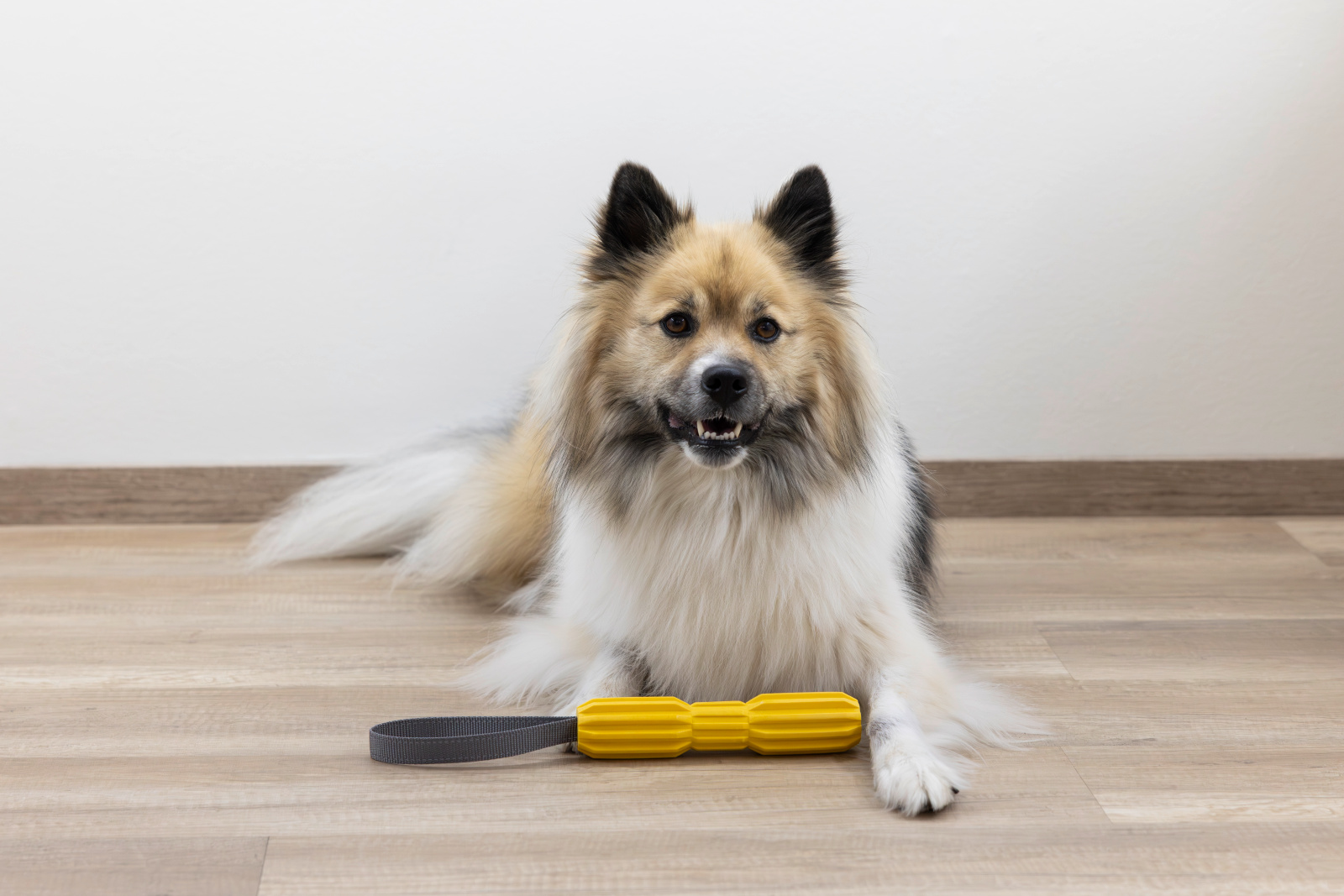 Kerbl Pet Aqua gioco cane galleggiante TPR giallo acqua