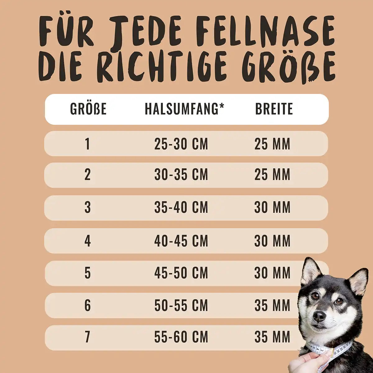 Rudelkönig Bella collare cane regolabile khaki