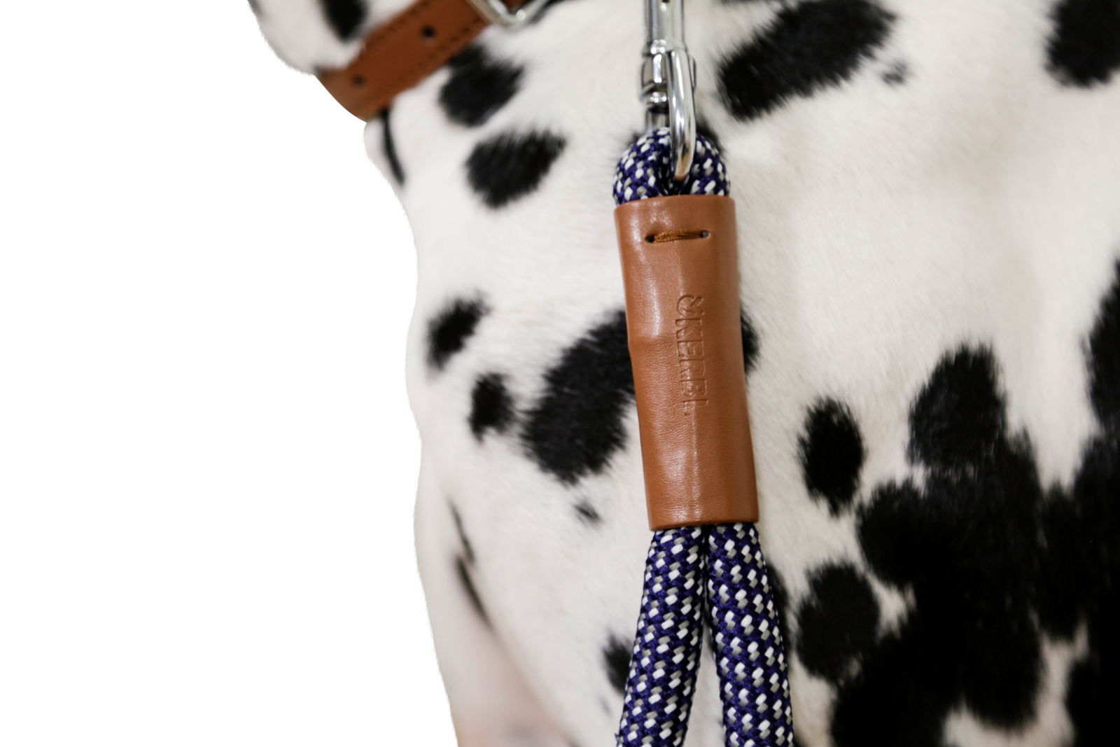 Kerbl Pet Phoenix guinzaglio corto cane nylon nero