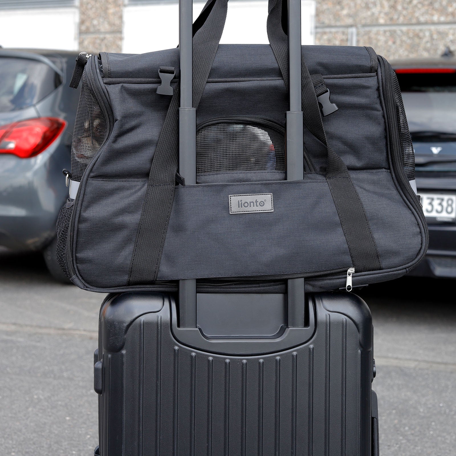Lionto Hundetransportboxen trasportino cane nero 48,5x27 cm
