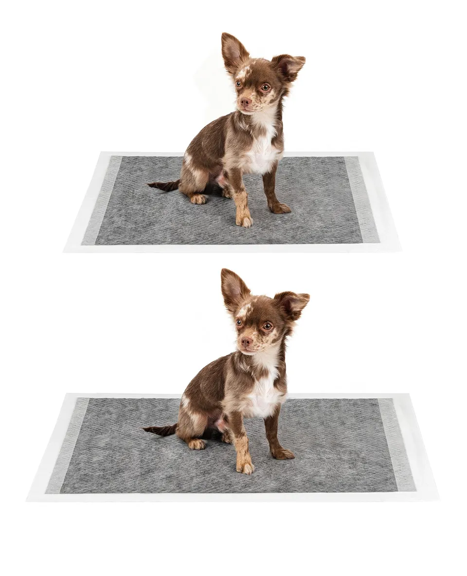 Lionto Hunde-Welpenausstattung traversina igienica 60x60 cm 50 pezzi carbone
