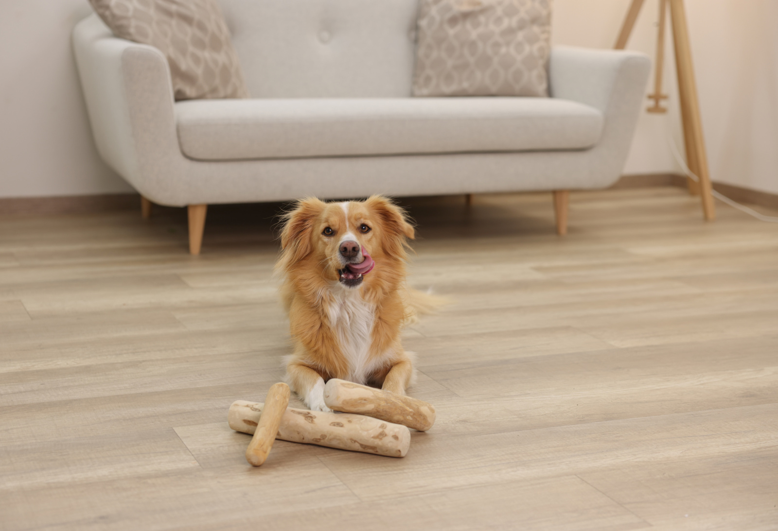 Kerbl Pet Bastone Masticativo Legno di Caffè per Cani