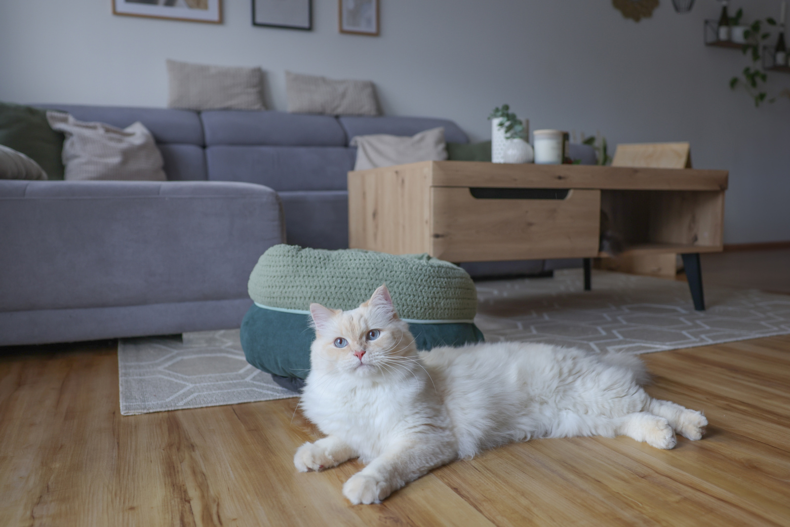 Kerbl Pet Anne Snugly Bed lettino gatto teddy poliestere
