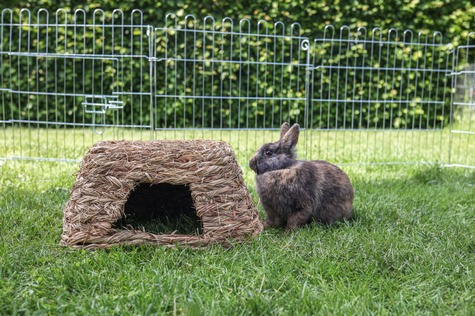 Kerbl Pet Grass House casetta fieno erba intrecciata roditori