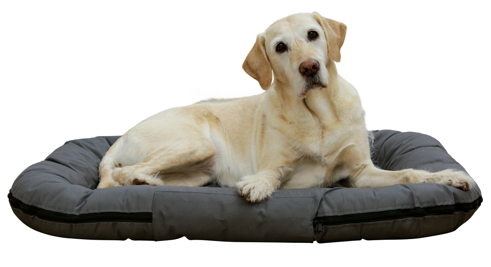 Kerbl Dog Rest Oxford Place cuscino cani sfoderabile
