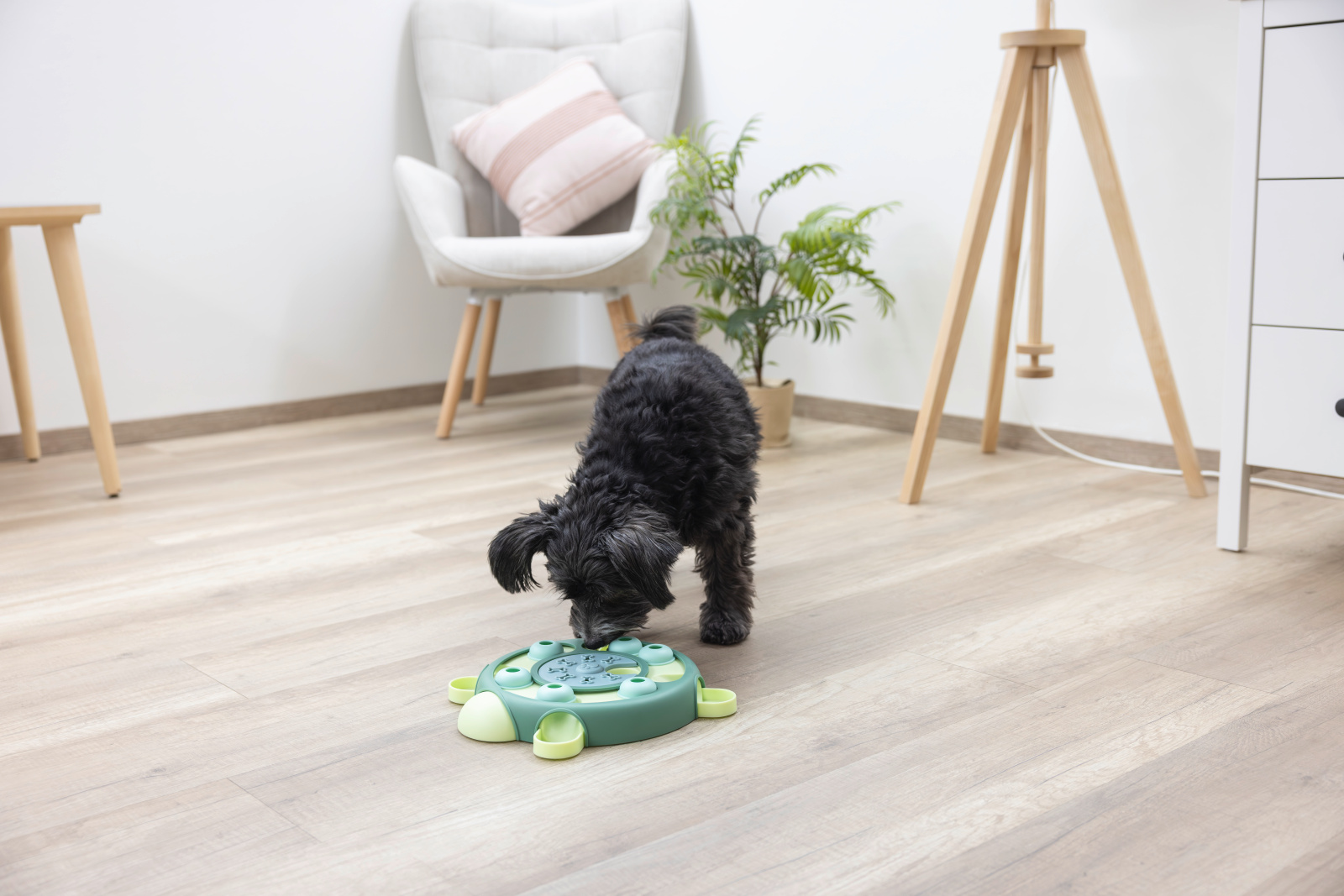 Kerbl Tartaruga Gioco Intelligenza Cane Snack Rotante